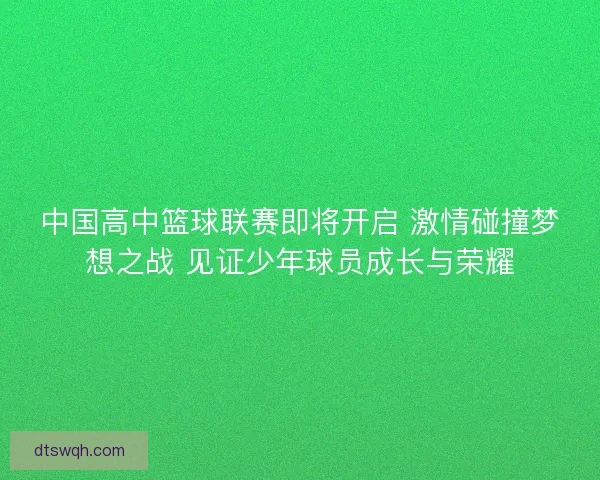 中国高中篮球联赛即将开启 激情碰撞梦想之战 见证少年球员成长与荣耀 中国高中篮球联赛即将开启 激情碰撞梦想之战 见证少年球员成长与荣耀