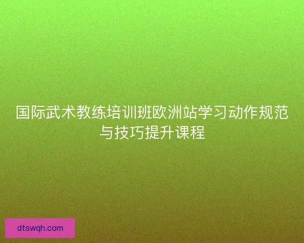 国际武术教练培训班欧洲站学习动作规范与技巧提升课程