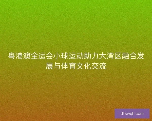 粤港澳全运会小球运动助力大湾区融合发展与体育文化交流